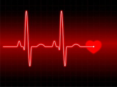 heart rate monitor